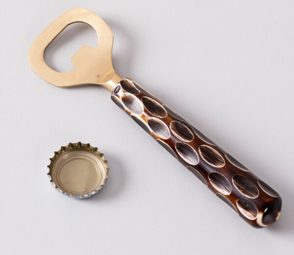 Resin Handle Bottle Opener