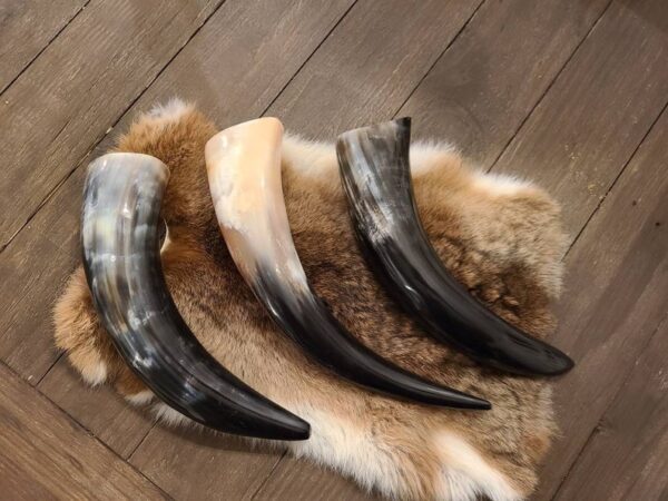 Natural White and Black Carved Design Viking Drinking Horn With Wooden Stand