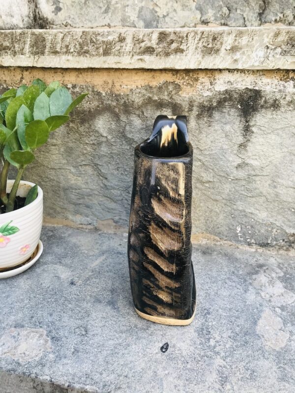 Natural Black Buffalo Drinking Horn with Wooden Base in High Quality
