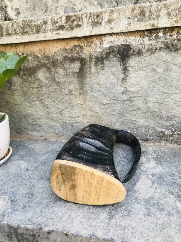 Natural Black Buffalo Drinking Horn with Wooden Base in High Quality